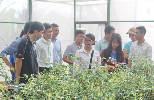 Các bạn sinh viên tham gia hành trình tham quan mô hình trồng cà chua bi tại trung tâm nông nghiệp ứng dụng công nghệ cao